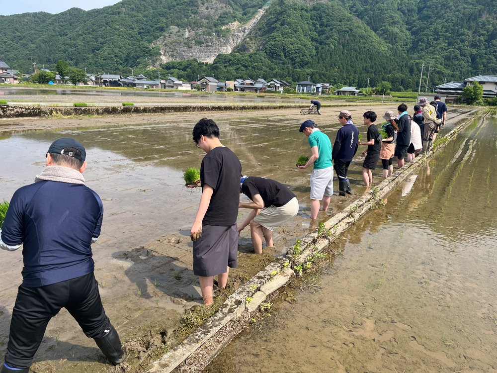 酒米の田植え体験
